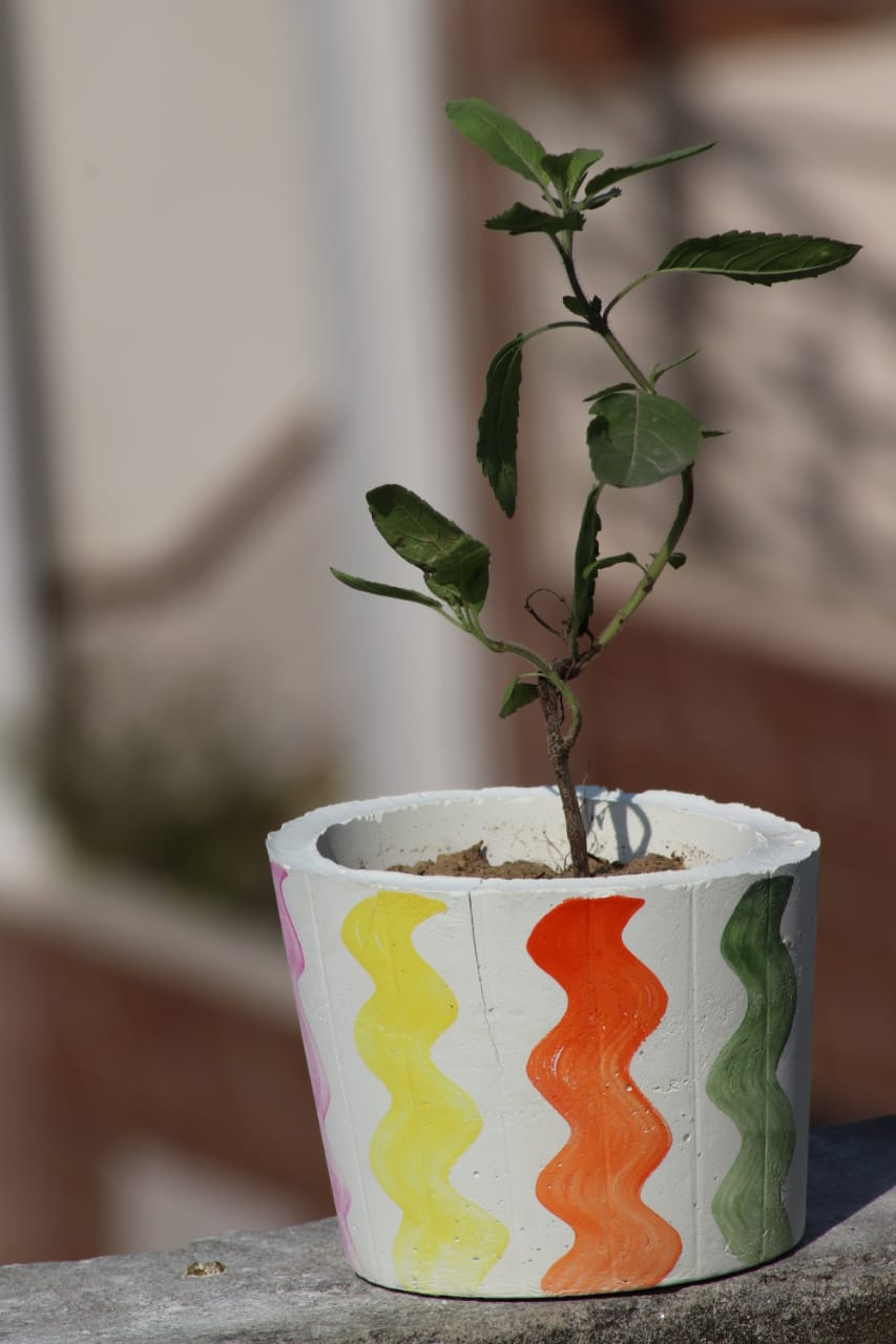 WhatsApp Image 2018-11-24 at 10.38.08 PM (1)