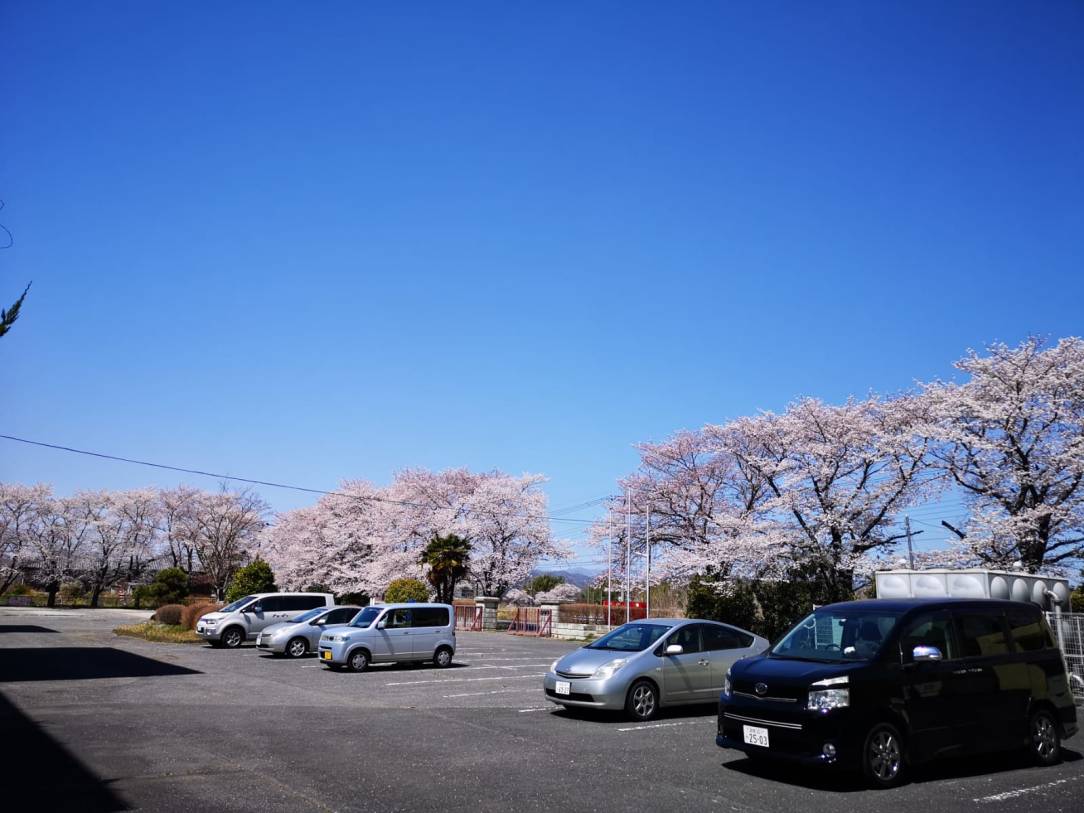 WhatsApp Image 2019-04-08 at 15.34.22